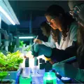 INNOVACIÓN APLICADA AL SECTOR ALIMENTARIO