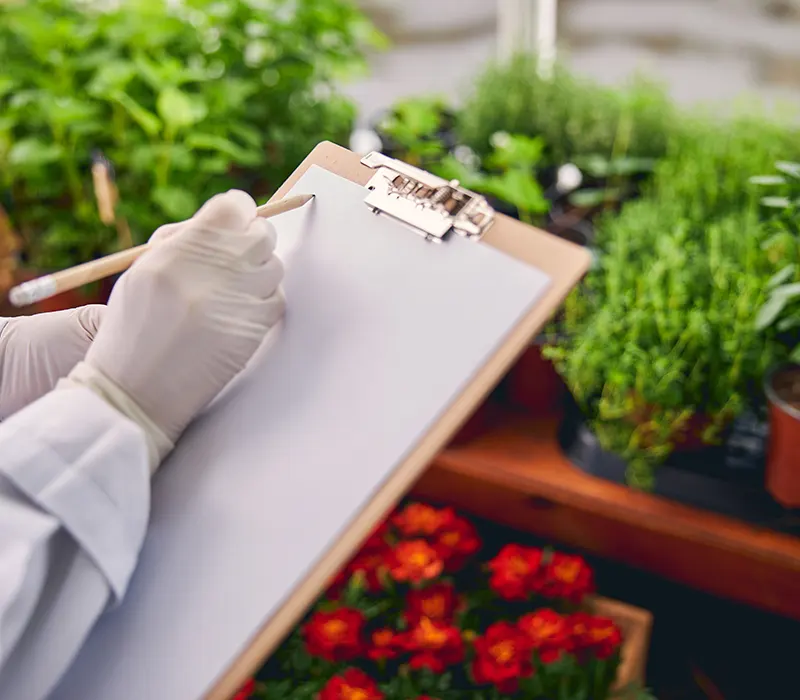 análisis de plantas