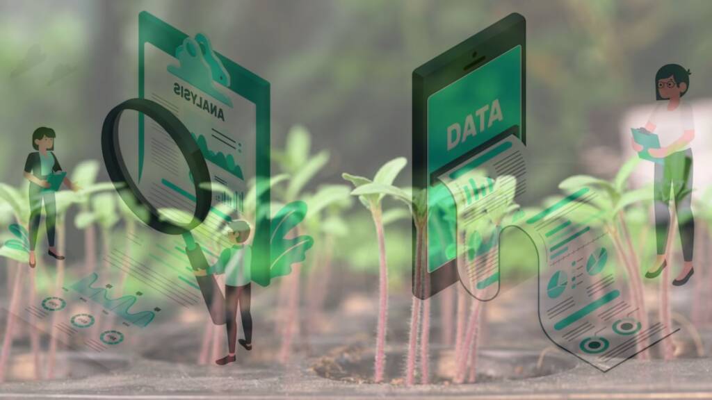 Optimización de la producción agrícola a través del análisis de datos.