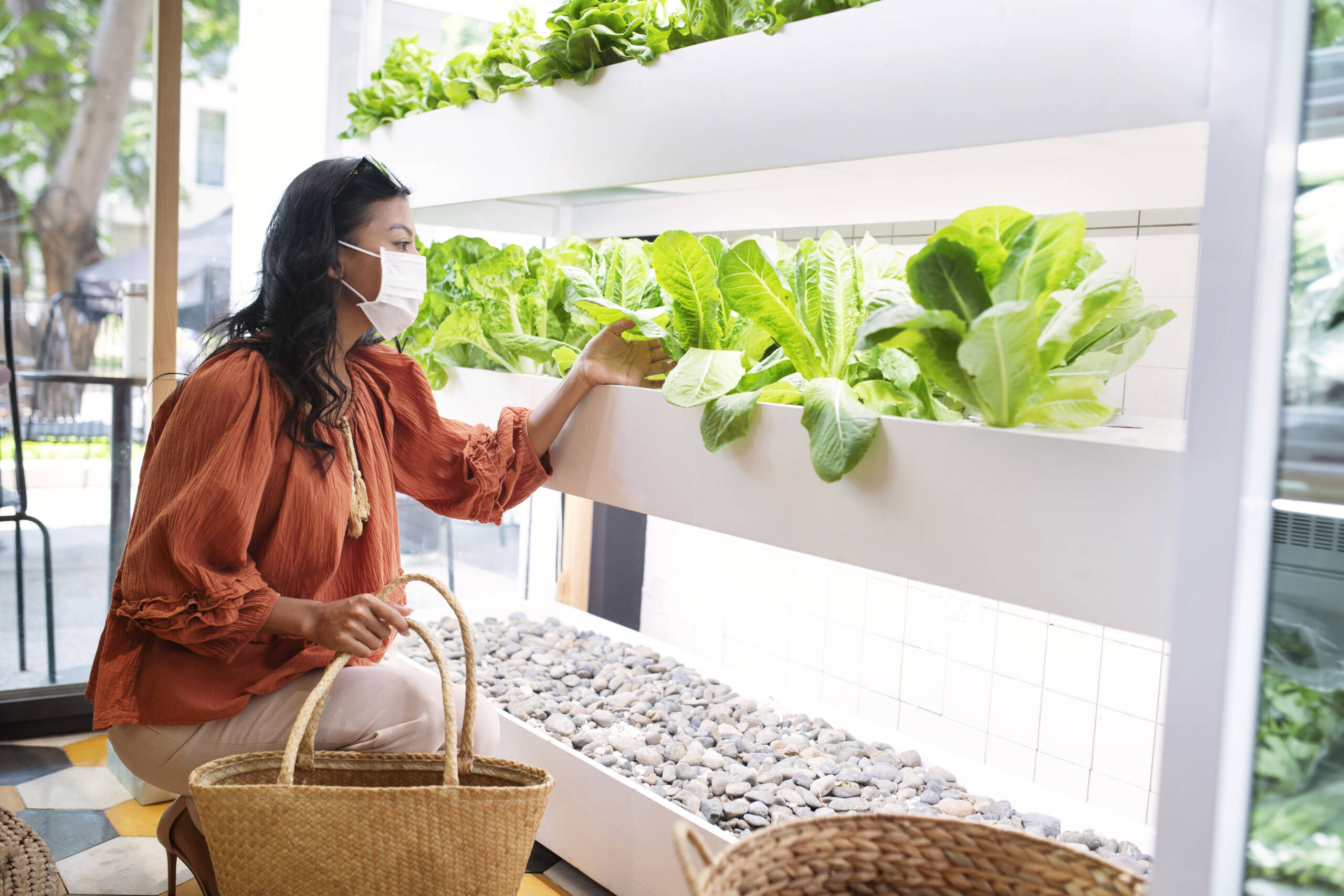 Creación de oportunidades en la economía locales a través de la agricultura vertical. Consultoría de innovación.