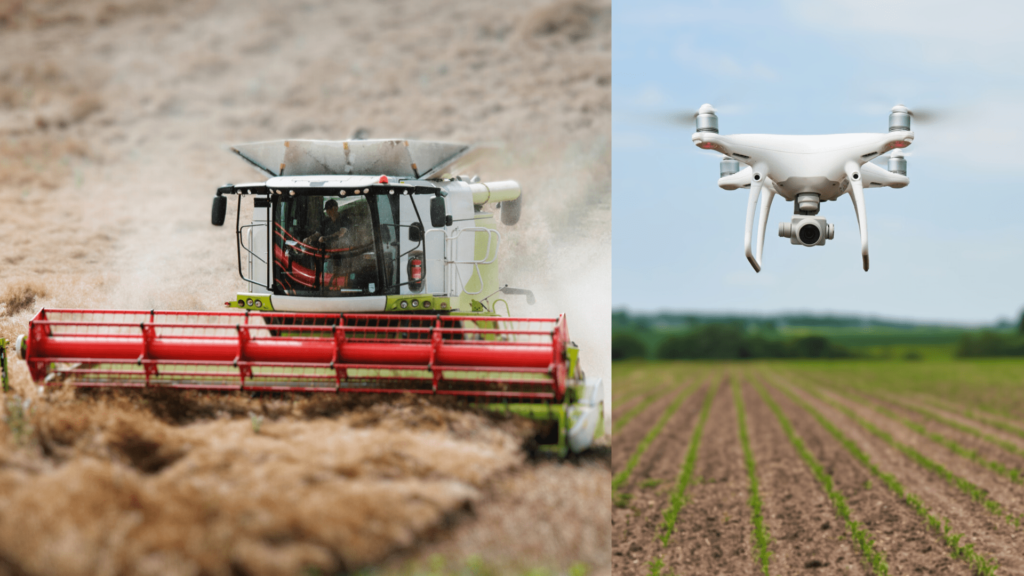 Desarrollo en la agricultura de precisión a través de la consultoría de innovación.