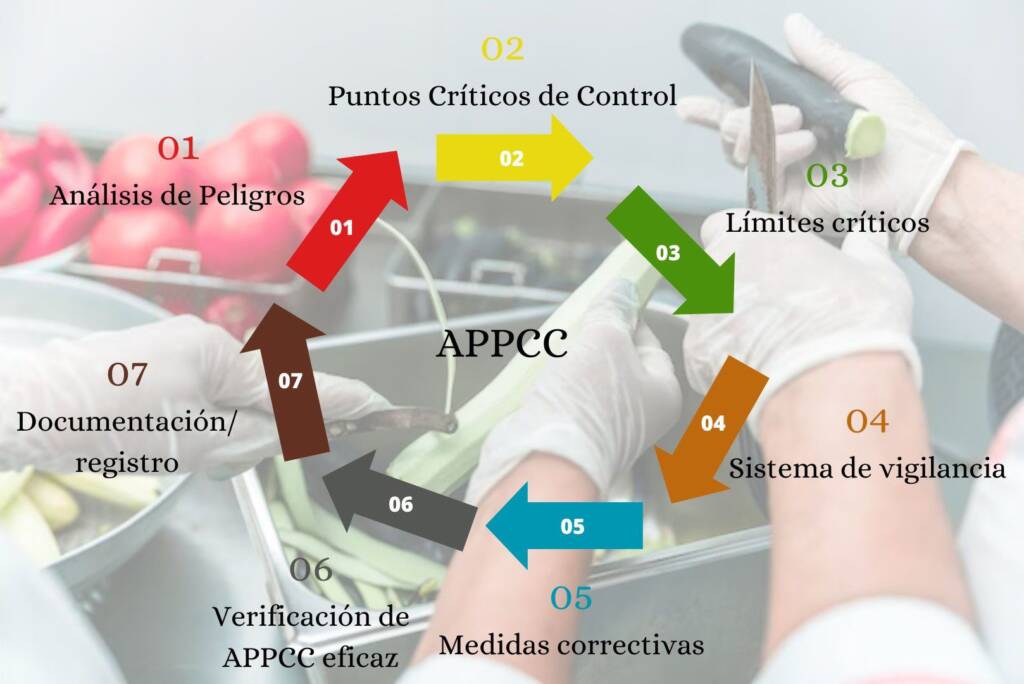 Aplicación del sistema de Análisis de Peligros y Puntos de Control Crítico