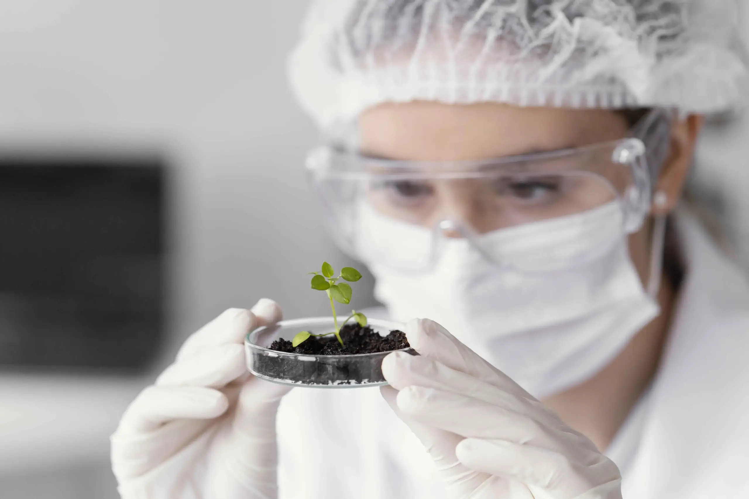 Seguridad alimentaria a través de las Micotoxinas en los alimentos