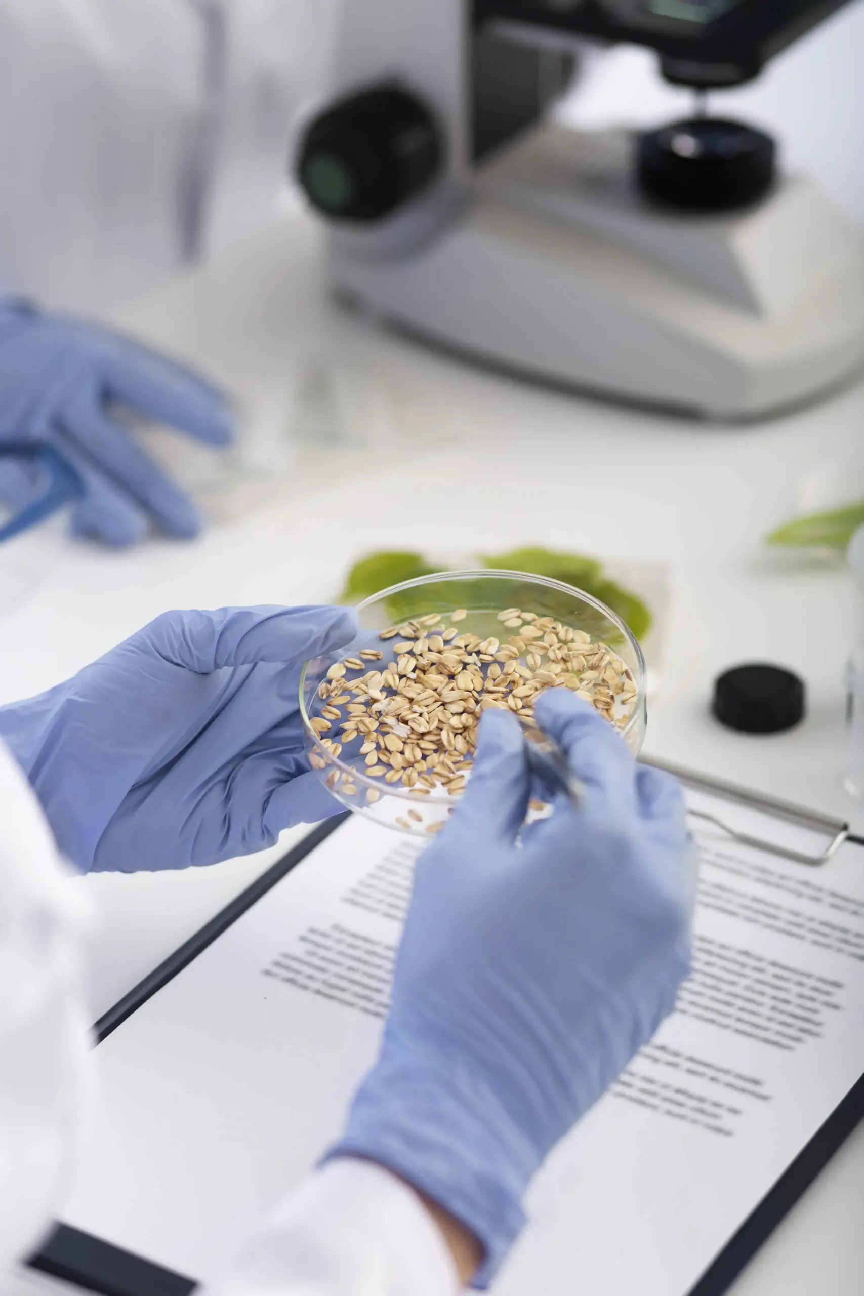 Trabajo de laboratorio de alimentos microscópicos